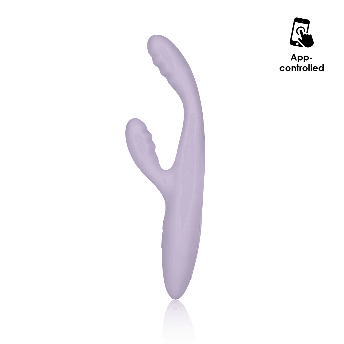 CICI+ 2